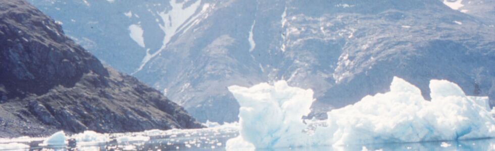 Auf dem Hausberg oben 580m